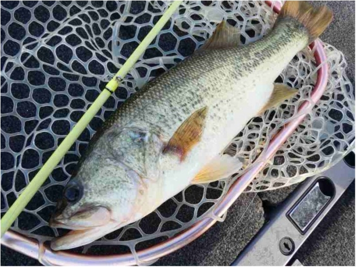 truth  ブログ写真 2018/10/02