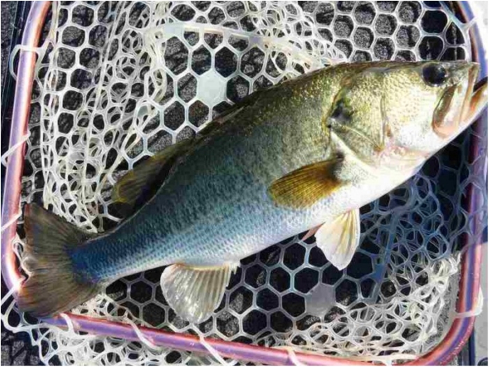 truth  ブログ写真 2018/10/02