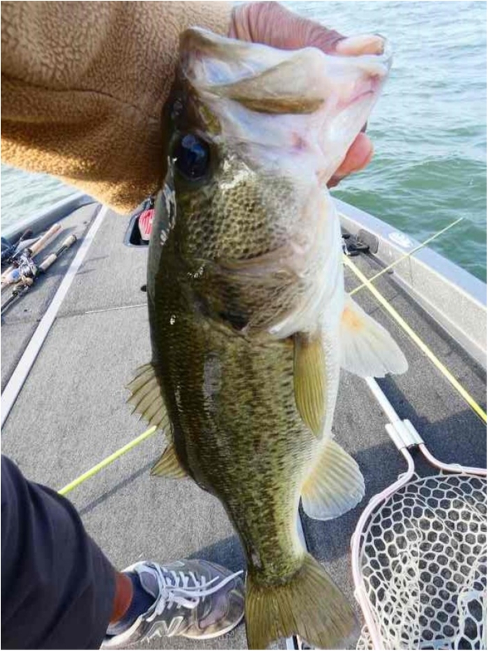 truth  ブログ写真 2018/10/02