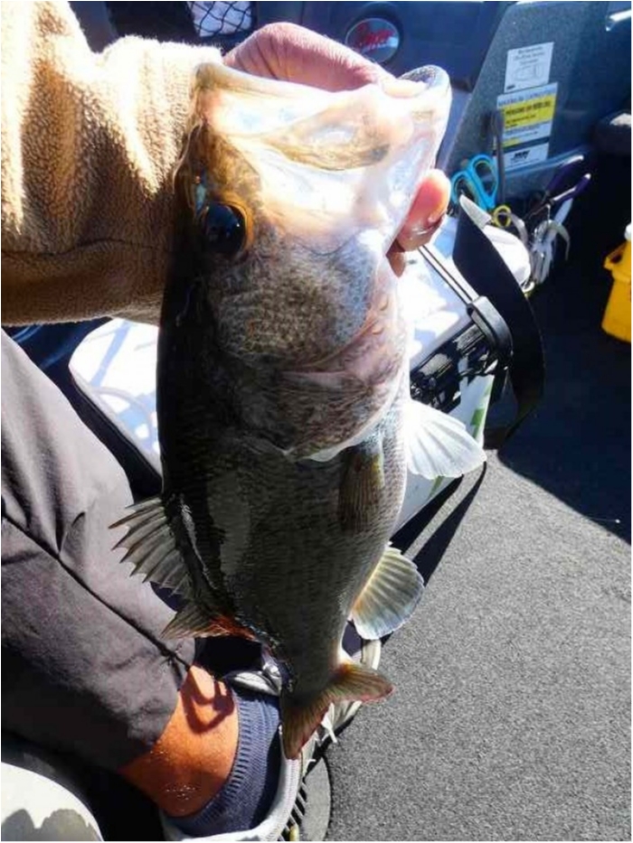 truth  ブログ写真 2018/10/02