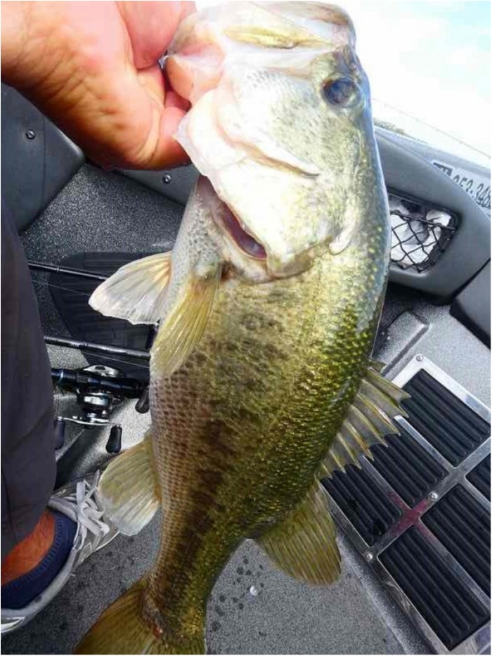 truth  ブログ写真 2018/10/02