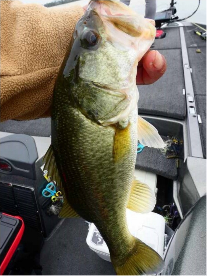 truth  ブログ写真 2018/10/04