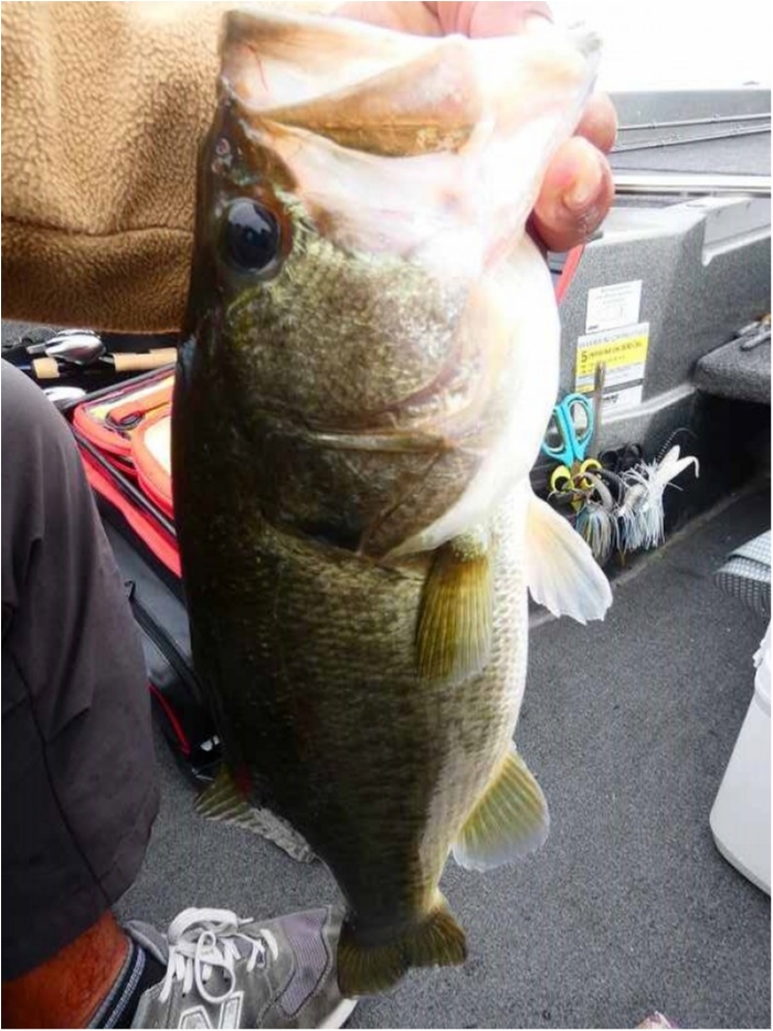 truth  ブログ写真 2018/10/04