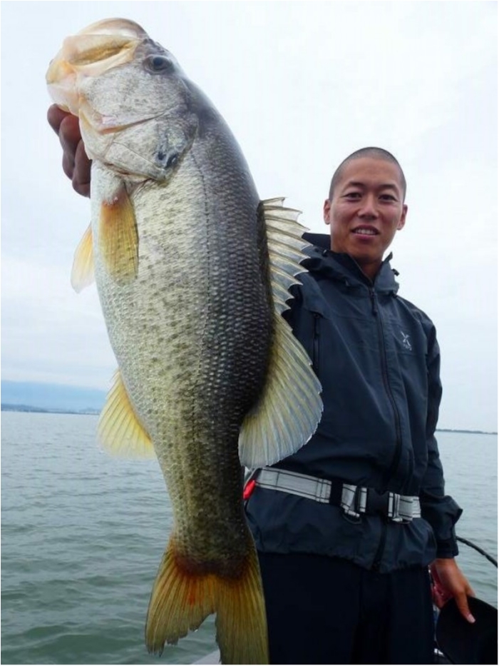 truth  ブログ写真 2018/10/04