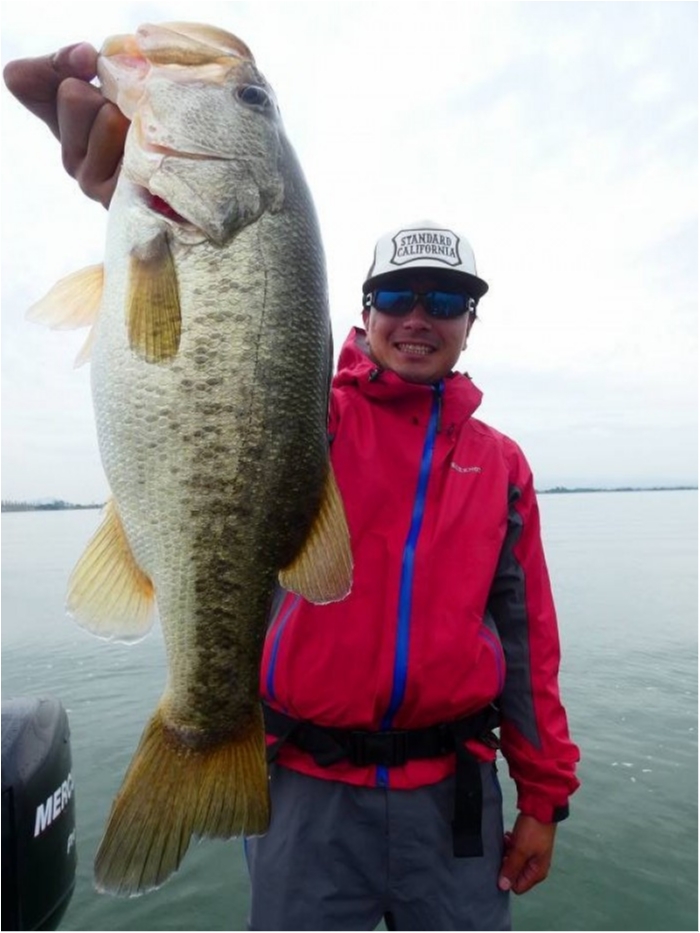 truth  ブログ写真 2018/10/04