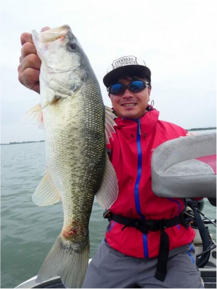 truth  ブログ写真 2018/10/04