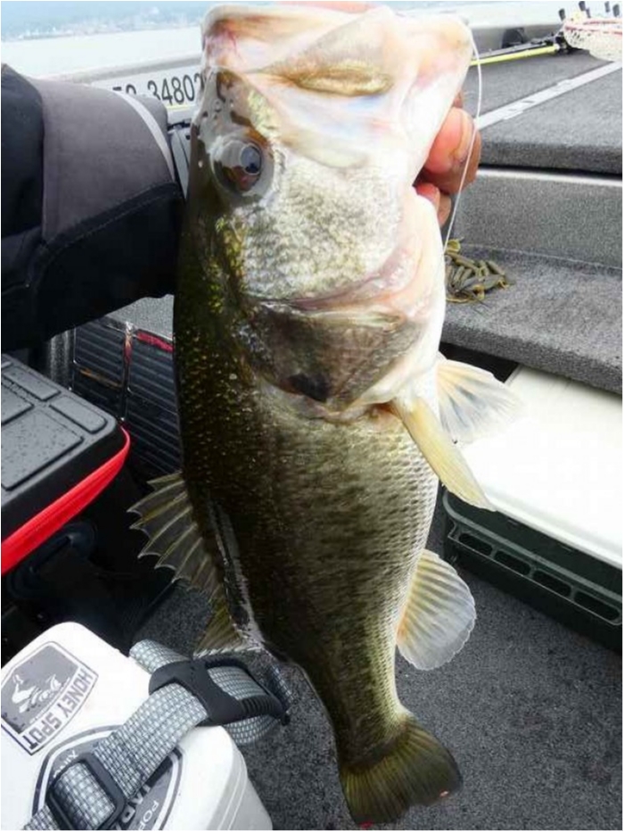 truth  ブログ写真 2018/10/04