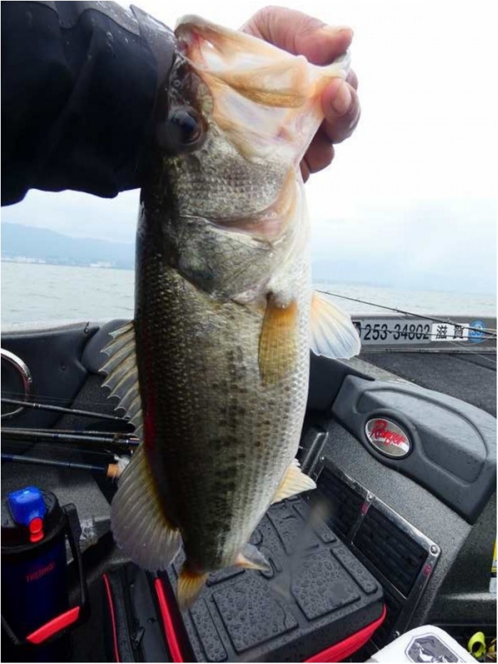 truth  ブログ写真 2018/10/04