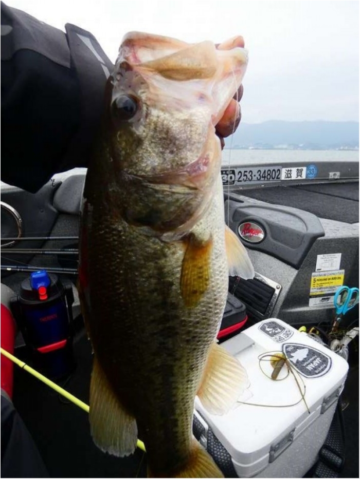 truth  ブログ写真 2018/10/04