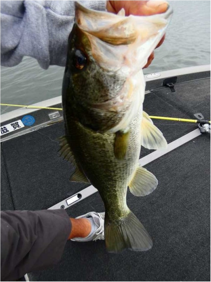 truth  ブログ写真 2018/10/05