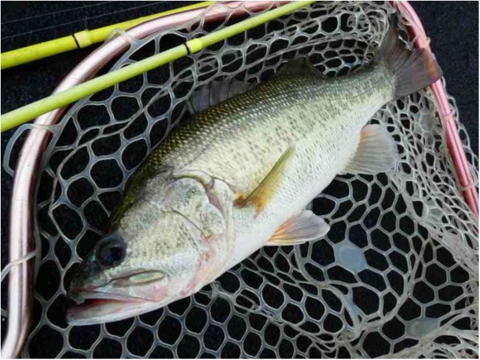 truth  ブログ写真 2018/10/05