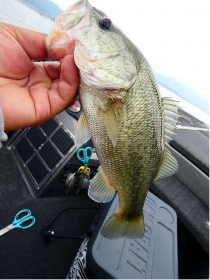 truth  ブログ写真 2018/10/05