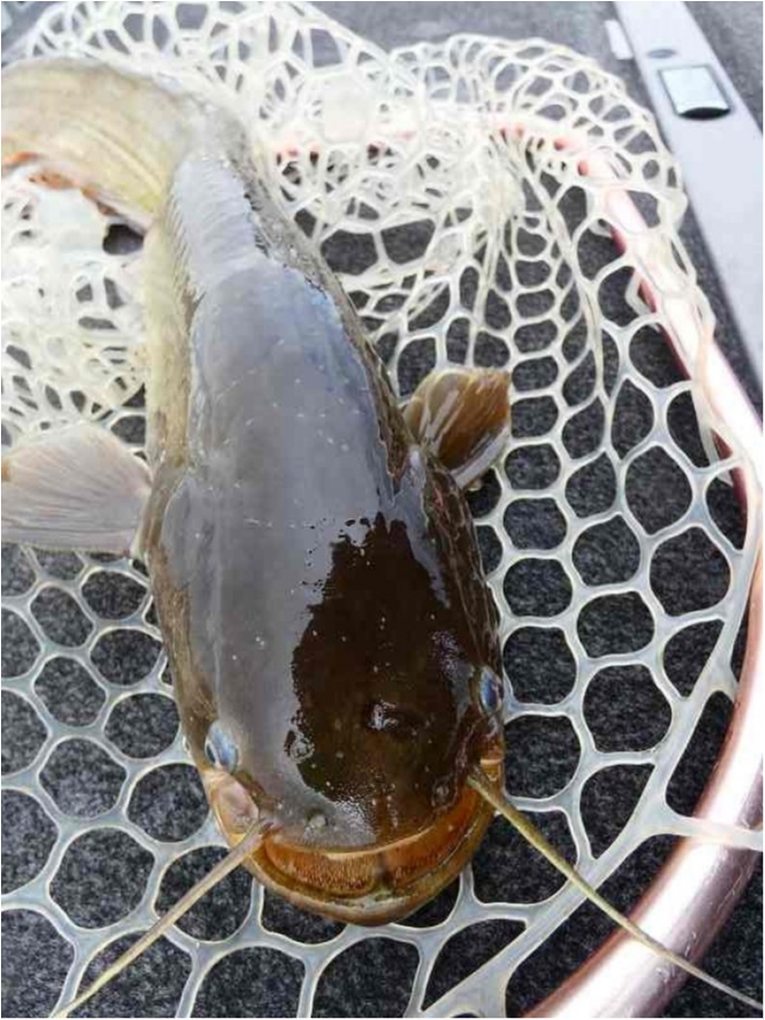 truth  ブログ写真 2018/10/05