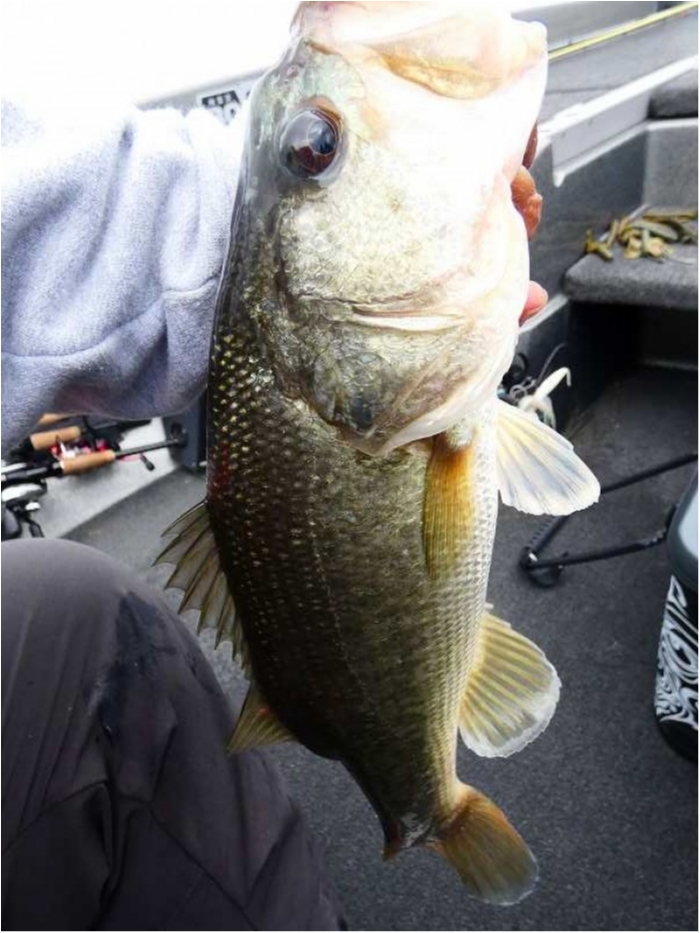 truth  ブログ写真 2018/10/05