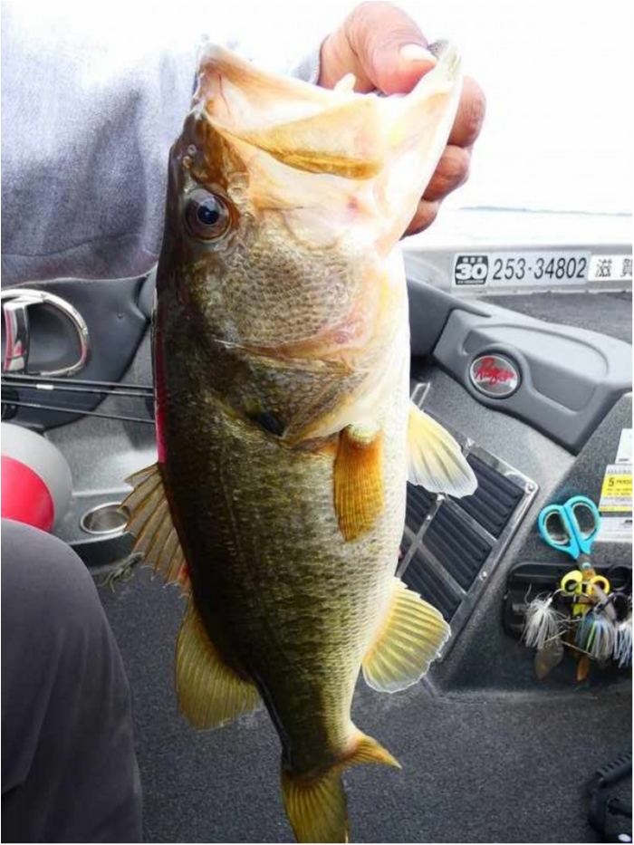 truth  ブログ写真 2018/10/05