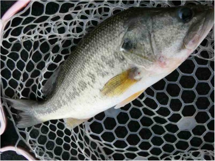 truth  ブログ写真 2018/10/05