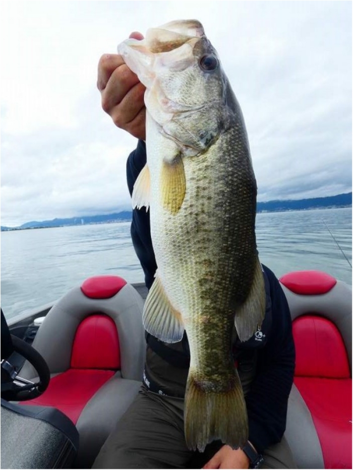 truth  ブログ写真 2018/10/06