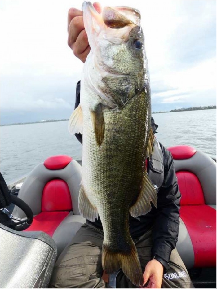 truth  ブログ写真 2018/10/06