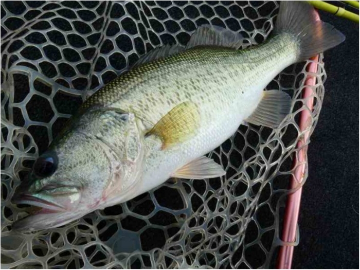 truth  ブログ写真 2018/10/06