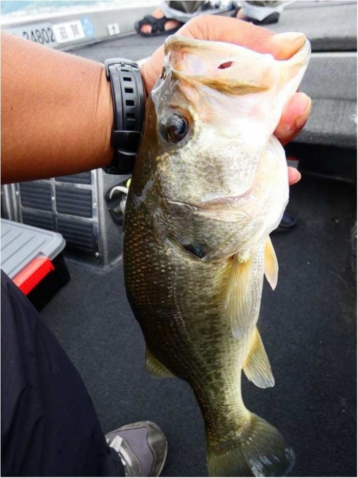 truth  ブログ写真 2018/10/06