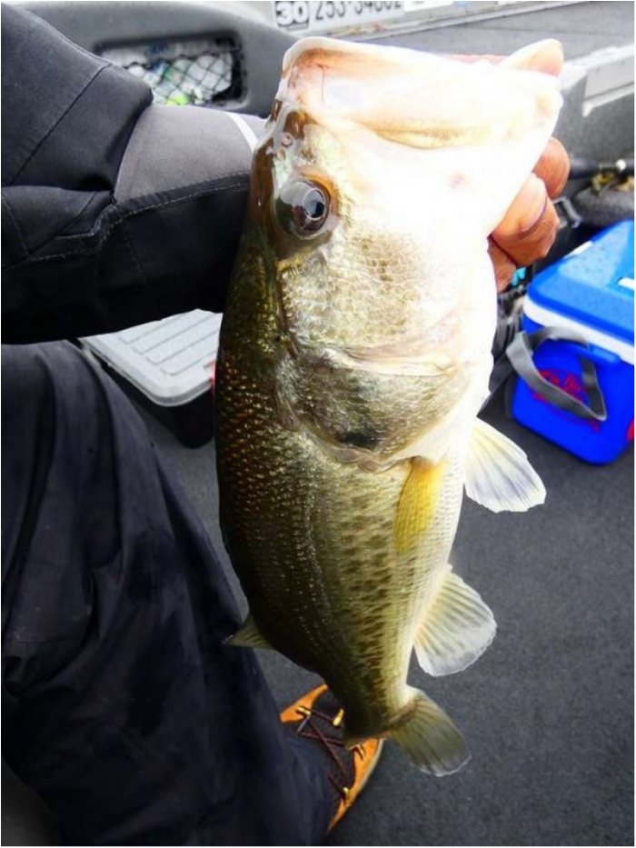 truth  ブログ写真 2018/10/06