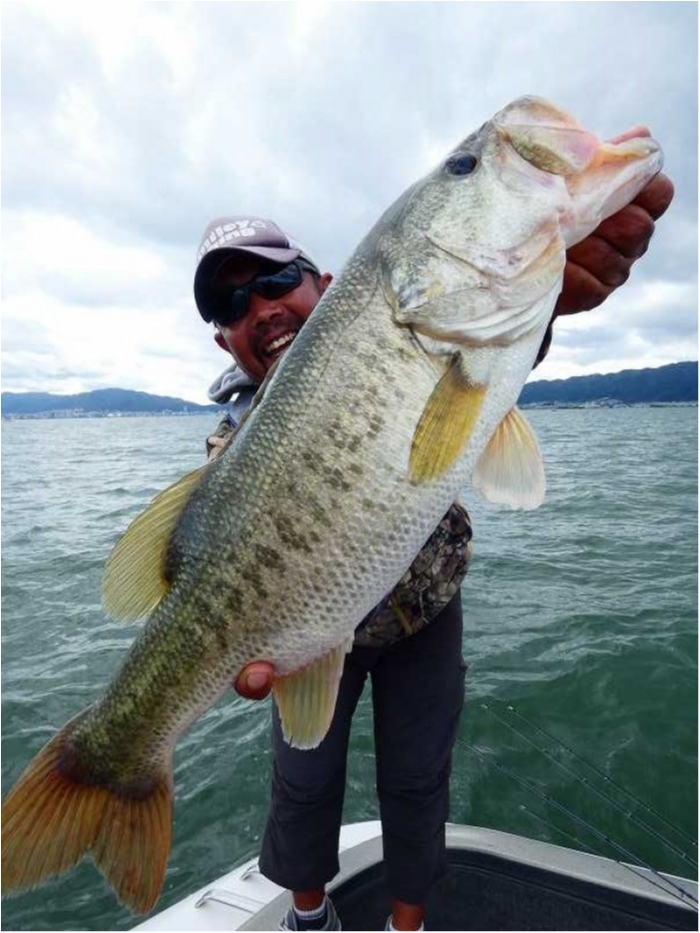 truth  ブログ写真 2018/10/07