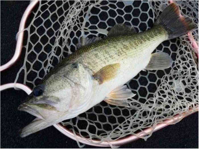 truth  ブログ写真 2018/10/07