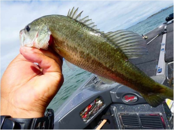 truth  ブログ写真 2018/10/07