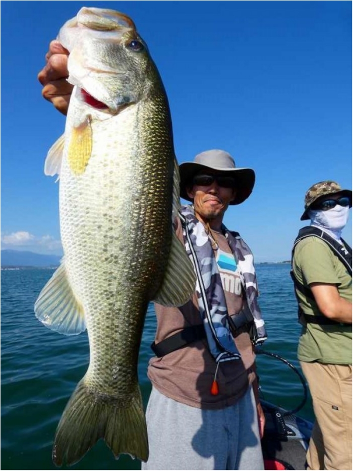 truth  ブログ写真 2018/10/09