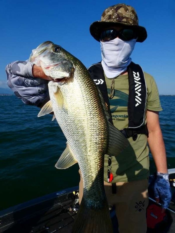 truth  ブログ写真 2018/10/09