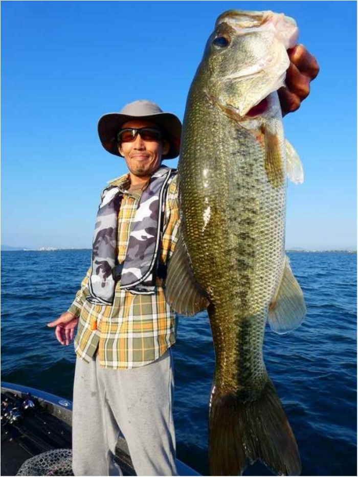 truth  ブログ写真 2018/10/09