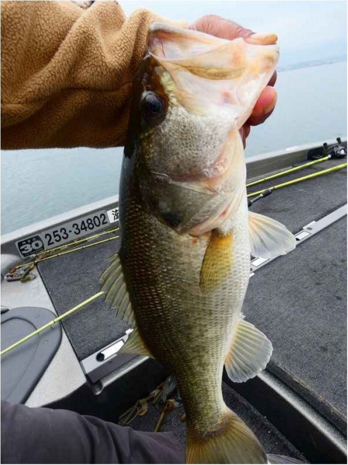 truth  ブログ写真 2018/10/10