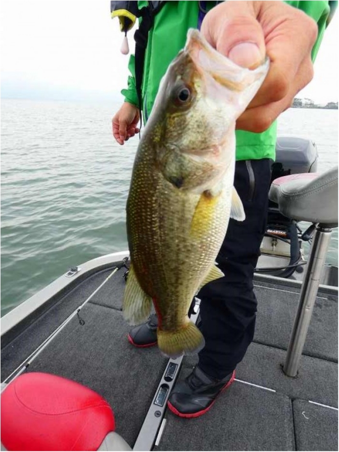 truth  ブログ写真 2018/10/10