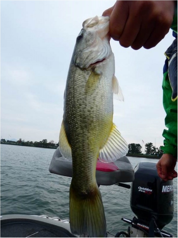 truth  ブログ写真 2018/10/10