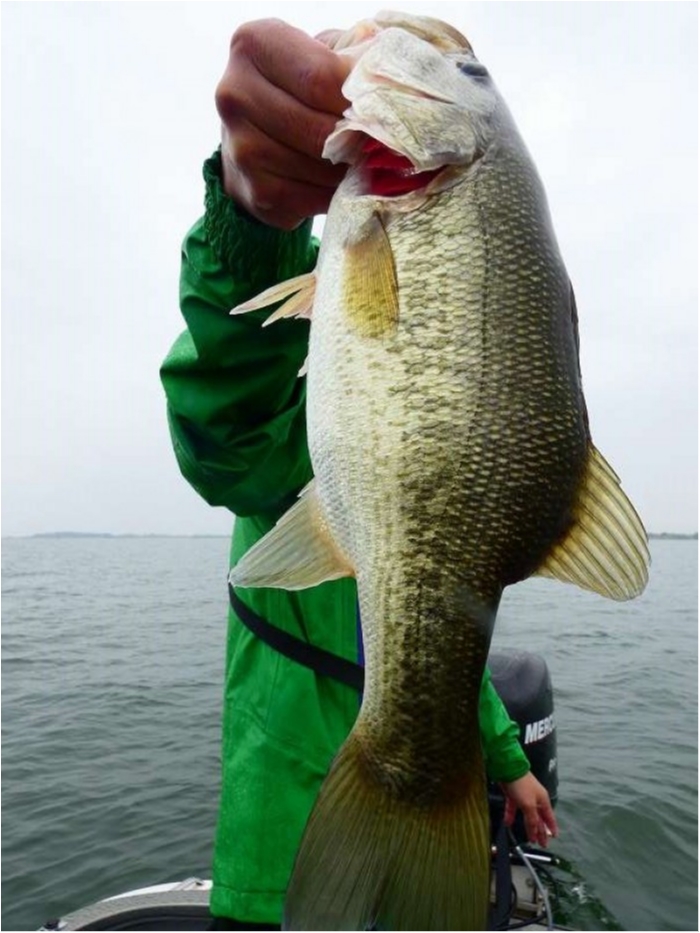 truth  ブログ写真 2018/10/10