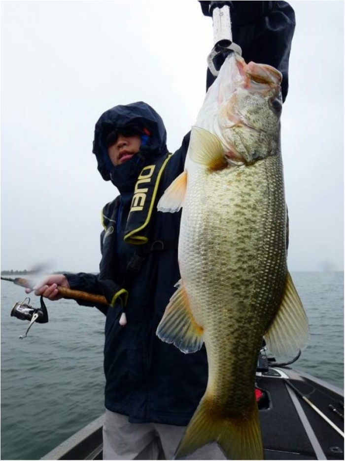 truth  ブログ写真 2018/10/10