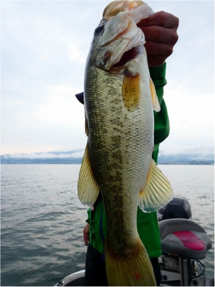 truth  ブログ写真 2018/10/10