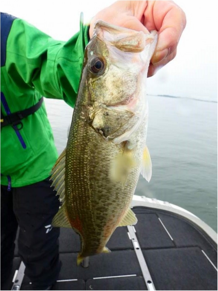 truth  ブログ写真 2018/10/10