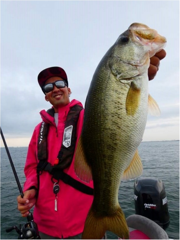 truth  ブログ写真 2018/10/11