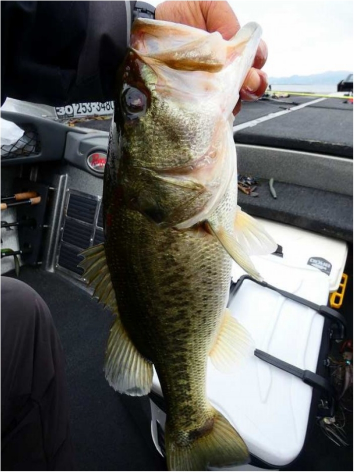 truth  ブログ写真 2018/10/11