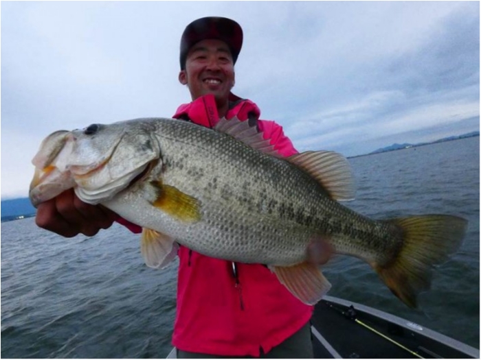 truth  ブログ写真 2018/10/11