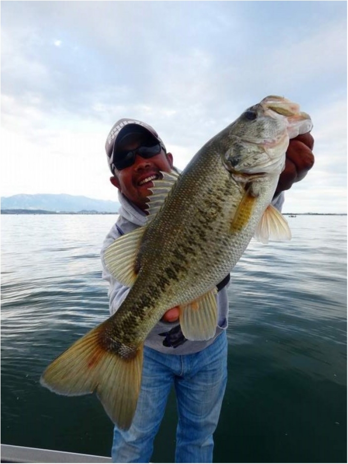 truth  ブログ写真 2018/10/13