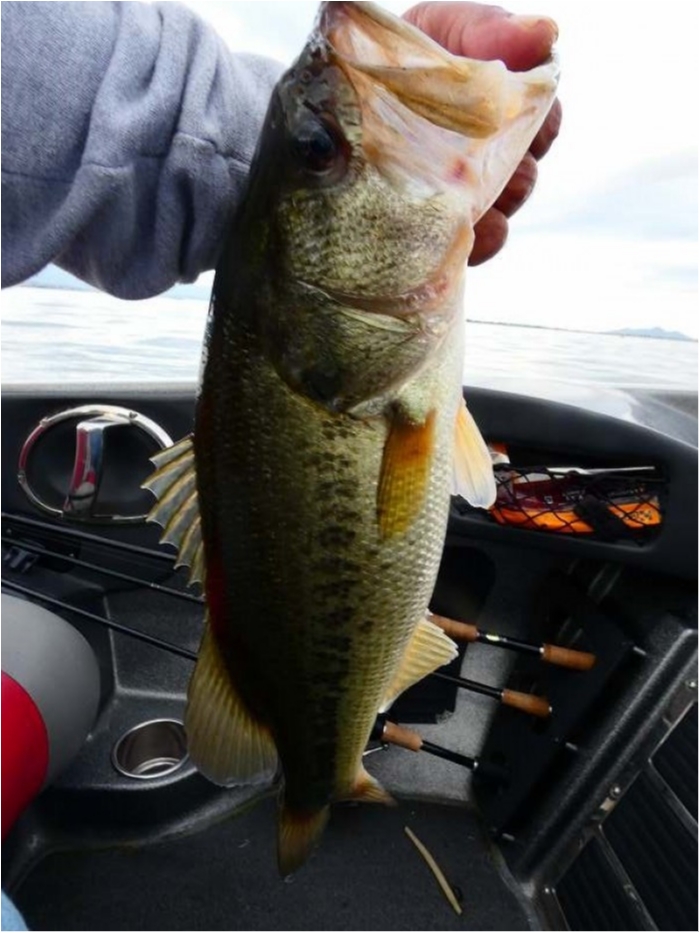 truth  ブログ写真 2018/10/13