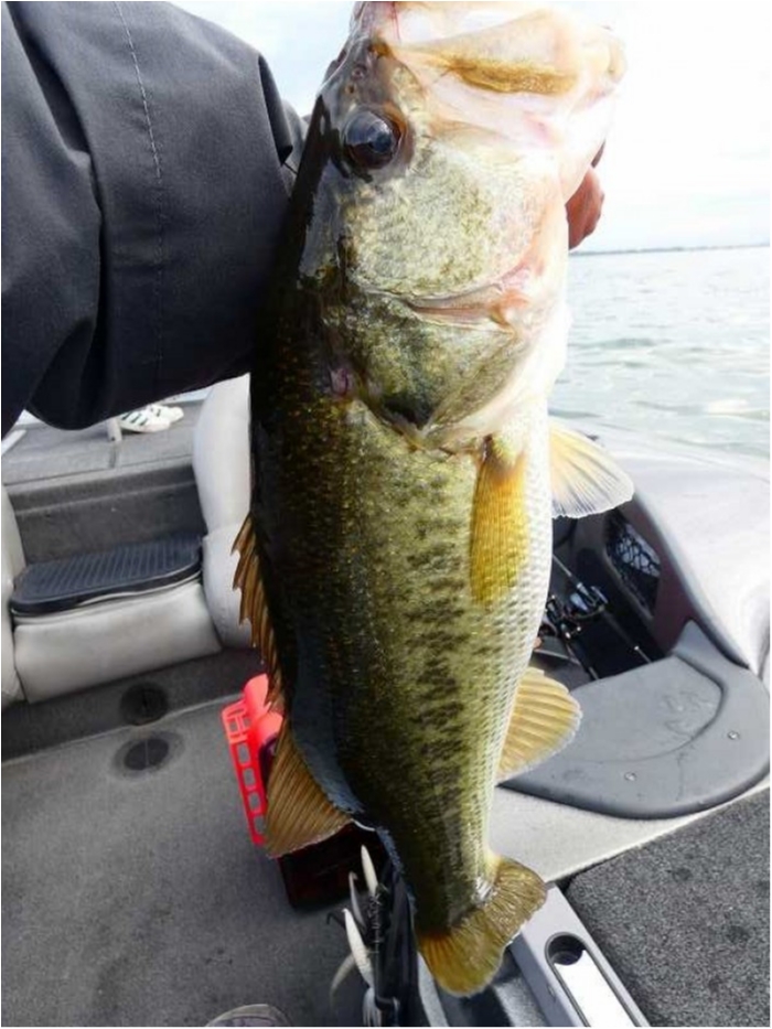 truth  ブログ写真 2018/10/14