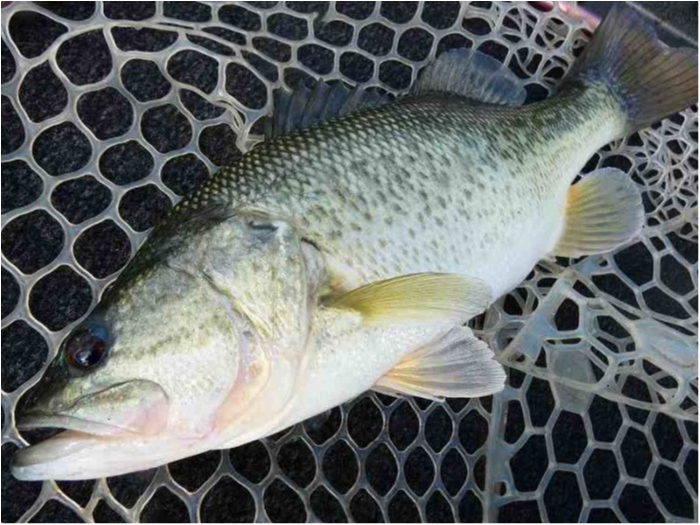 truth  ブログ写真 2018/10/14