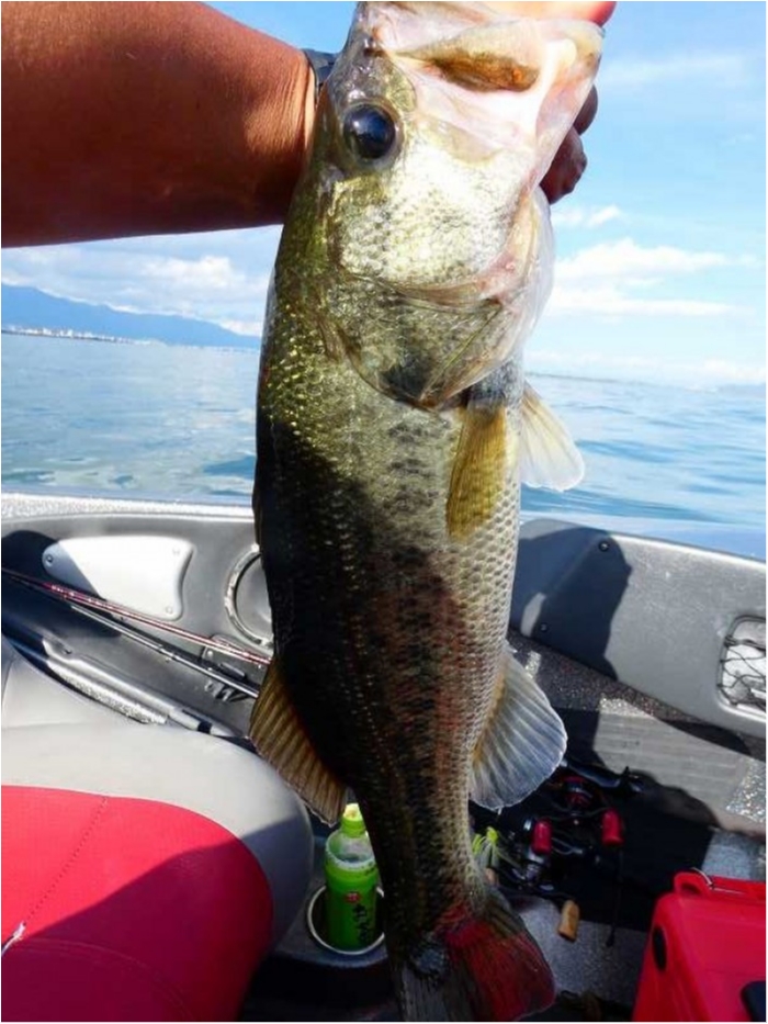 truth  ブログ写真 2018/10/14