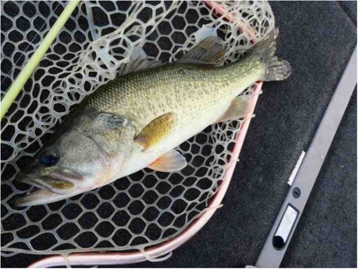 truth  ブログ写真 2018/10/14