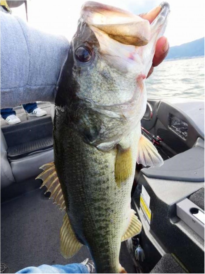 truth  ブログ写真 2018/10/14