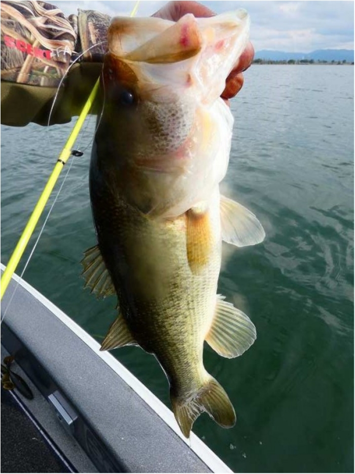 truth  ブログ写真 2018/10/15