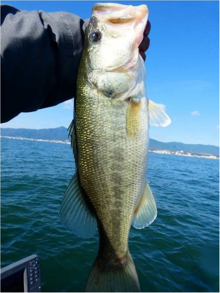 truth  ブログ写真 2018/10/17